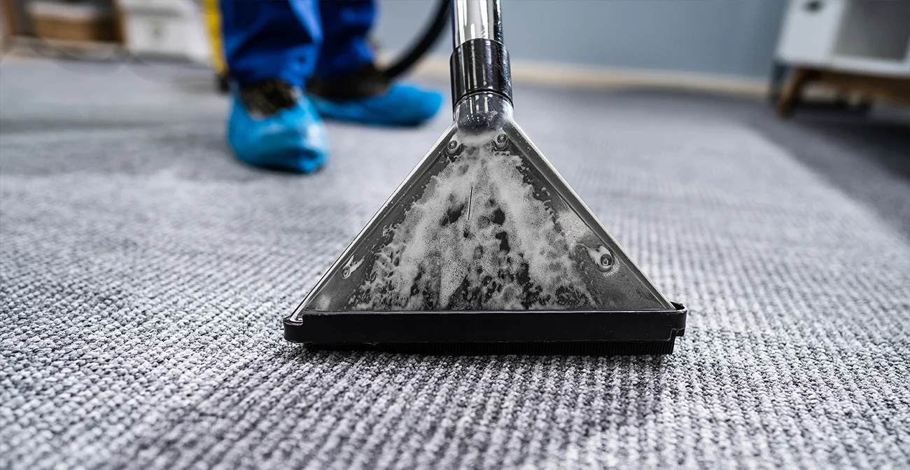 Carpet Area Rug Cleaning