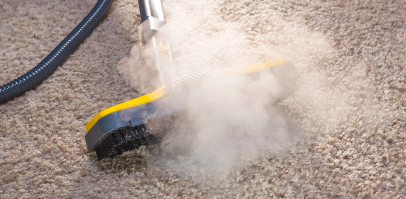 Professional Steam Cleaning banner